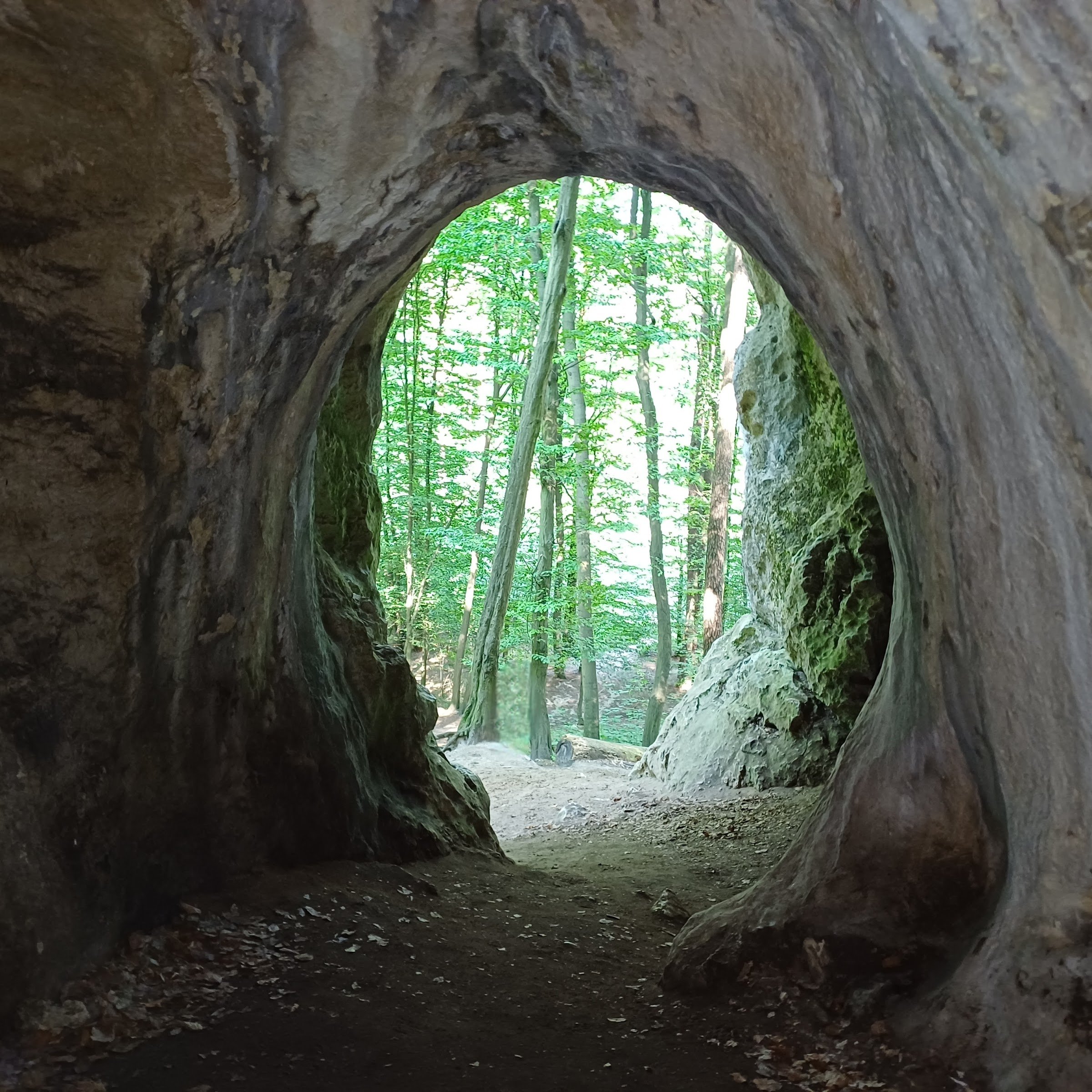 Ostrężnik Castle (ruins)